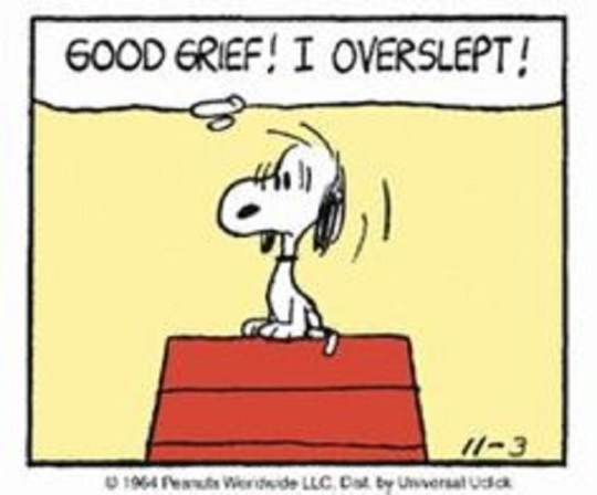 snoopy oversleep