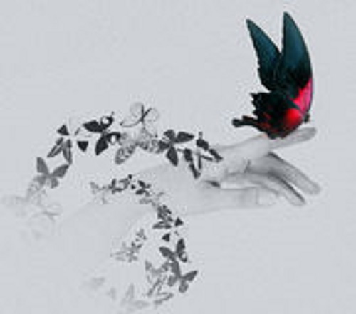 butterfly-woman-s-hand-motion-concept-isolated-39769656