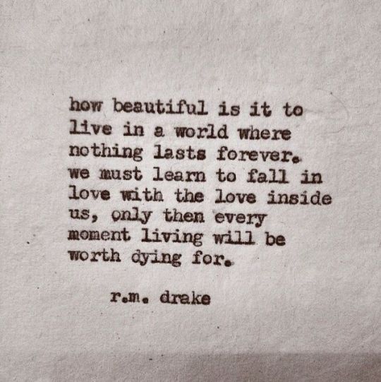 fall in love with the world