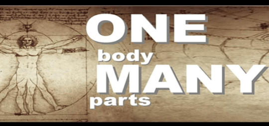one-body-many-parts