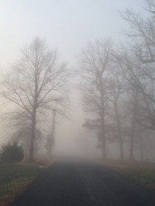 foggy-road