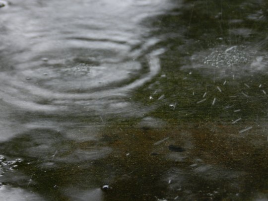 saw yourself in the water