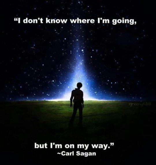Sagan journey quote