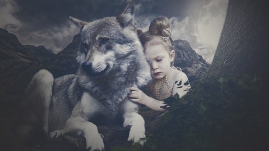 wolf recurring dream