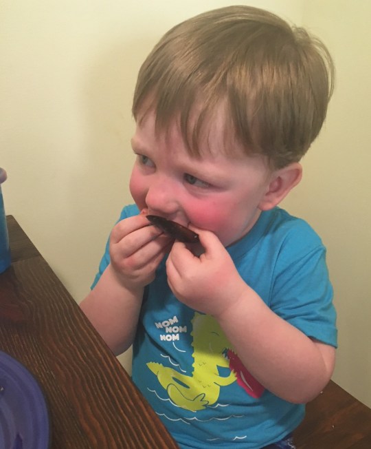 Max scallops - cropped